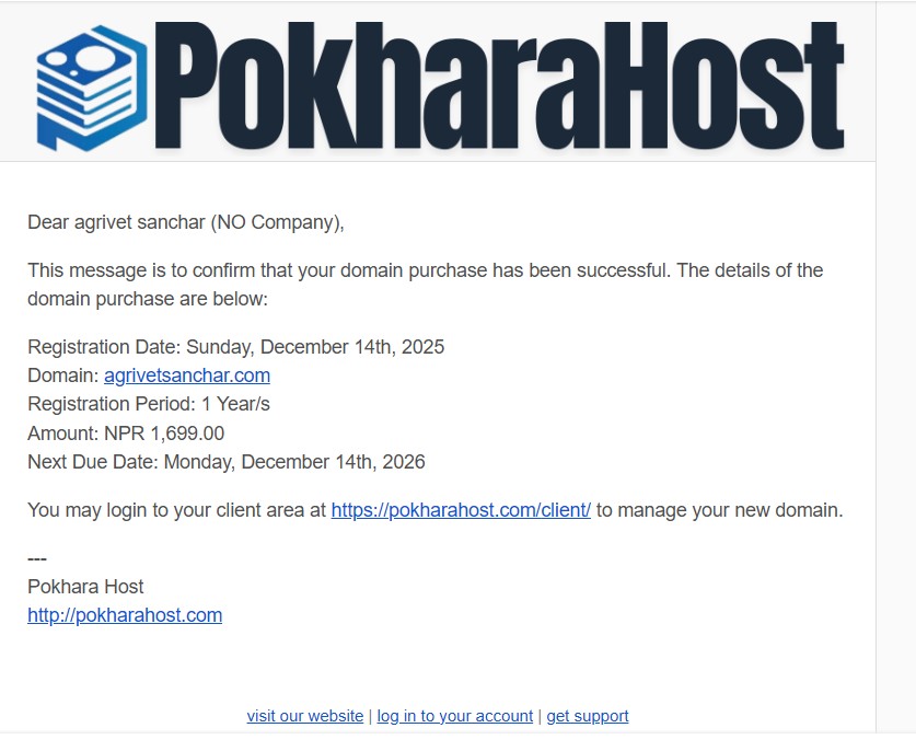 Spring Rider Dolphin